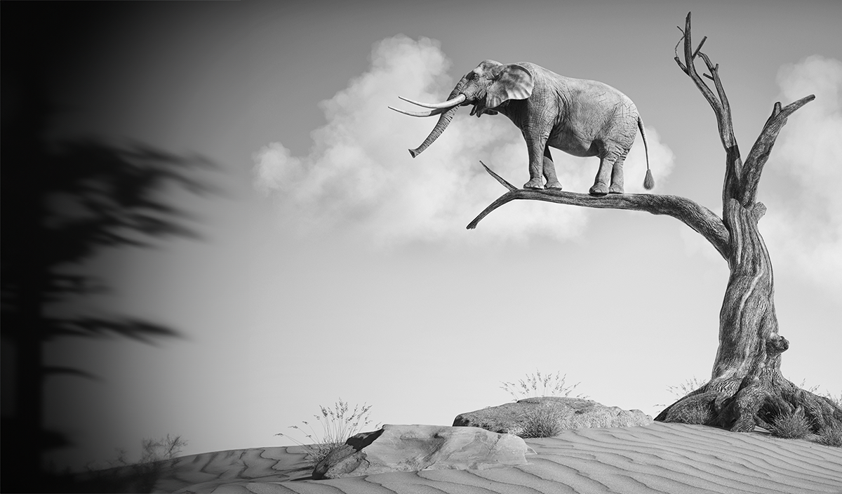 Risikomanagement beginnt im Kopf!