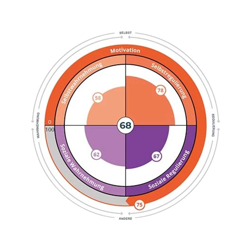 INSIGTHS MDI® - Motivation - 2bessential GmbH